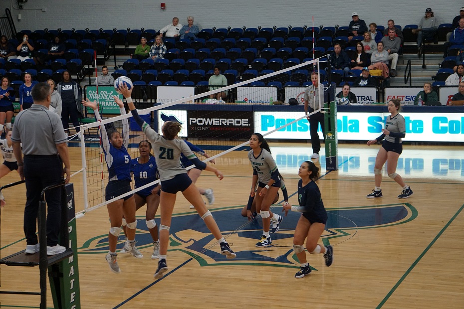 Volleyball Wins Two Over Weekend